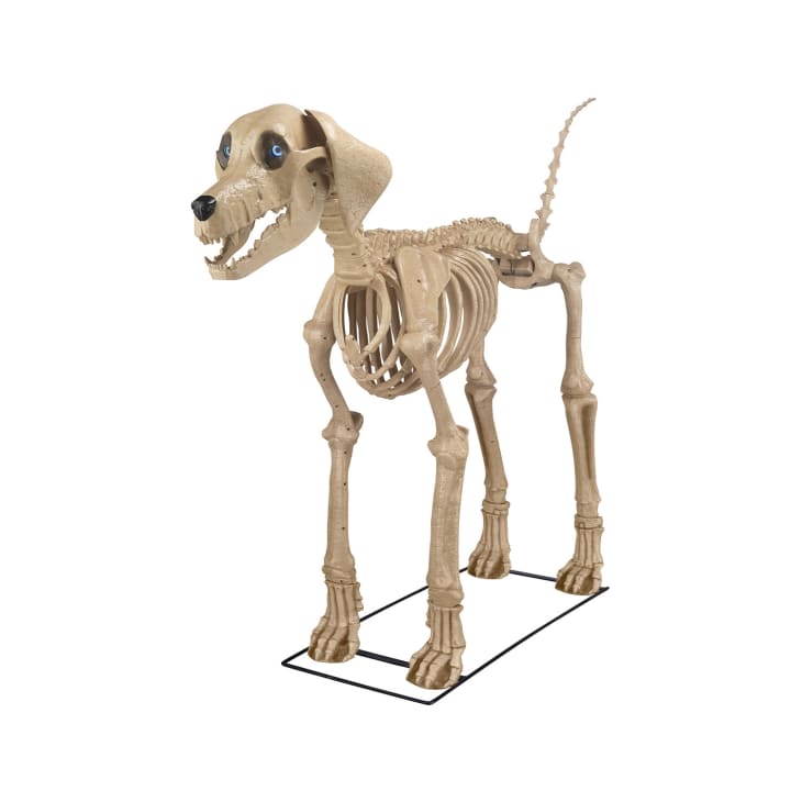 5 Ft. Skeleton Dog