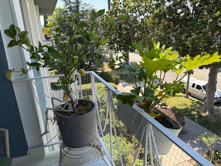 Post image 4