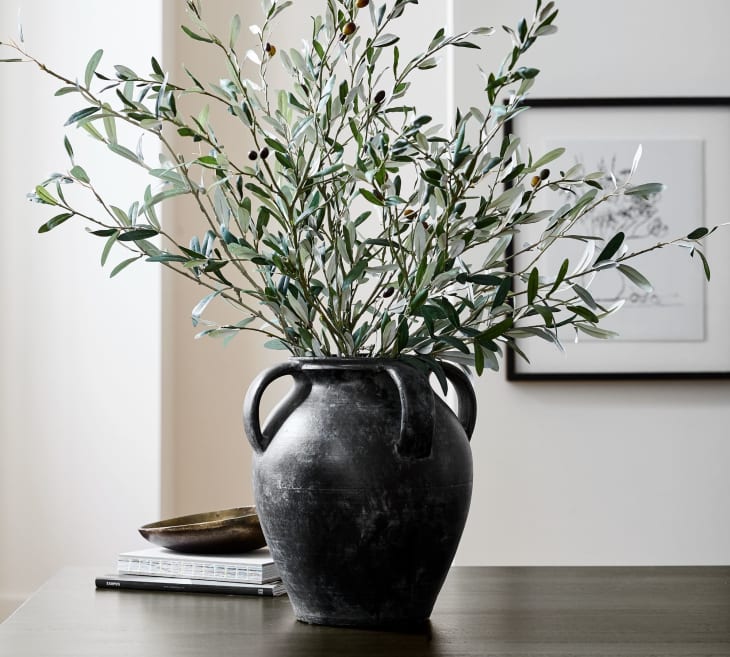 Product Image: Pottery Barn Faux Olive Branch