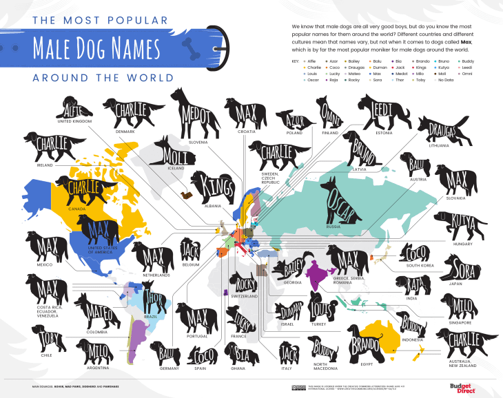 Place names for dogs fashion