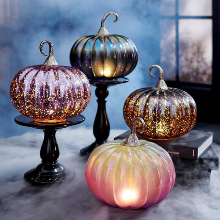 Grandin Road’s 2020 Halloween Collection is Here Apartment Therapy
