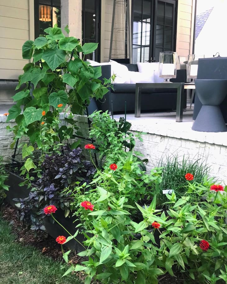 10 Patio Garden Ideas How to Grow Plants on a Small Porch Apartment
