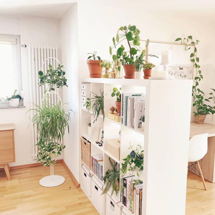 Ikea Kallax Bookcase Ideas Apartment Therapy