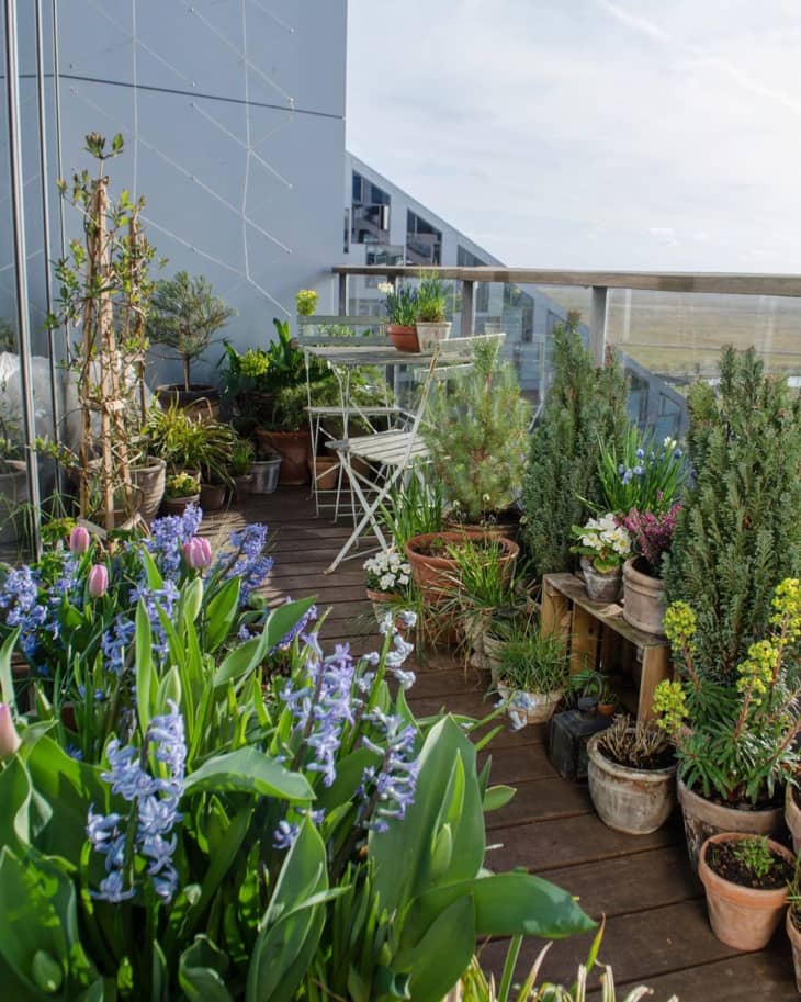 20 Balcony Garden Ideas – How to Grow Plants on a Small Balcony – Diy ...