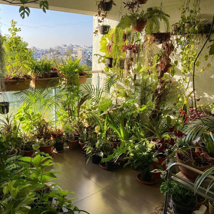 20 Balcony Garden Ideas How to Grow Plants on a Small Balcony