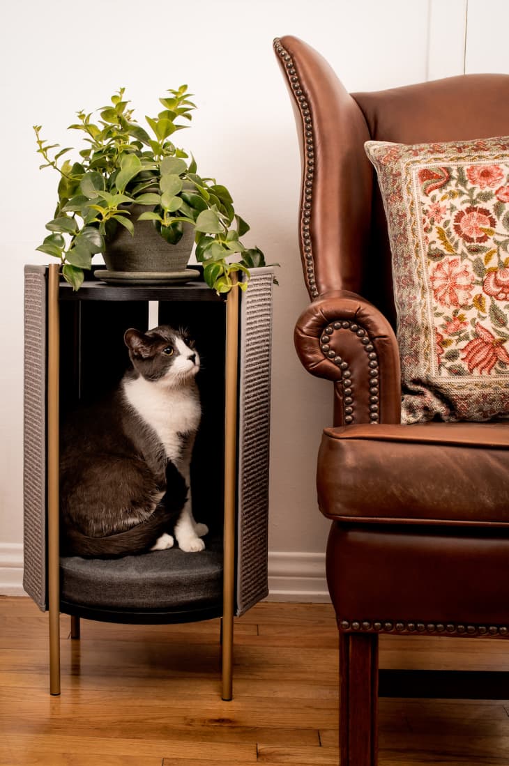 AutoPets Releases Cat Furniture Collection Apartment Therapy