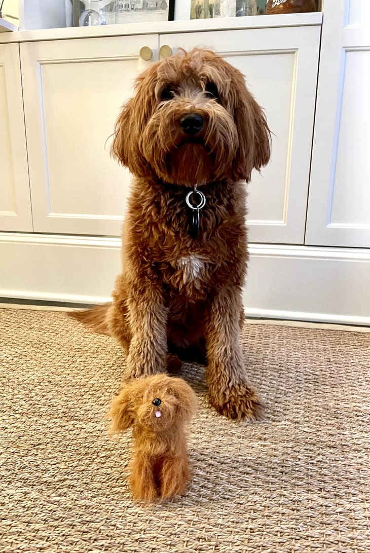 Best Etsy Gift for Dog Owners Apartment Therapy