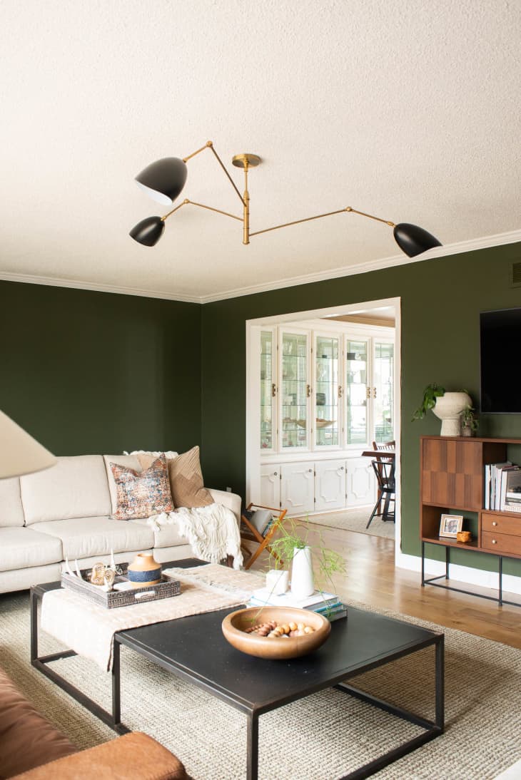 The 22 Best Green Living Room Ideas We’ve Ever Seen Apartment Therapy