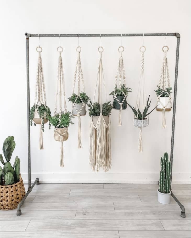 Diy hanging 2025 plant rack