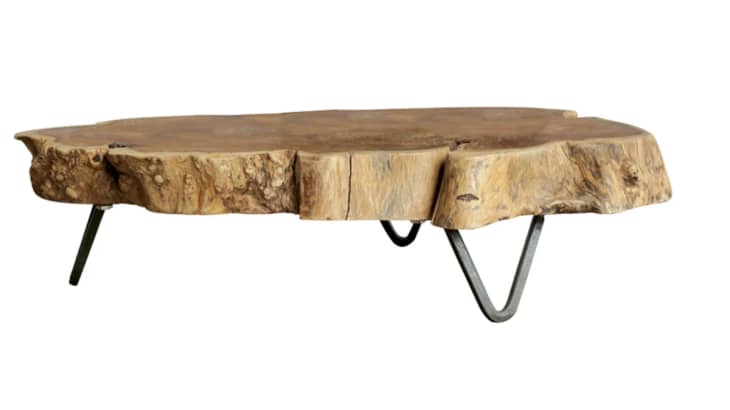 World market wood slice coffee deals table