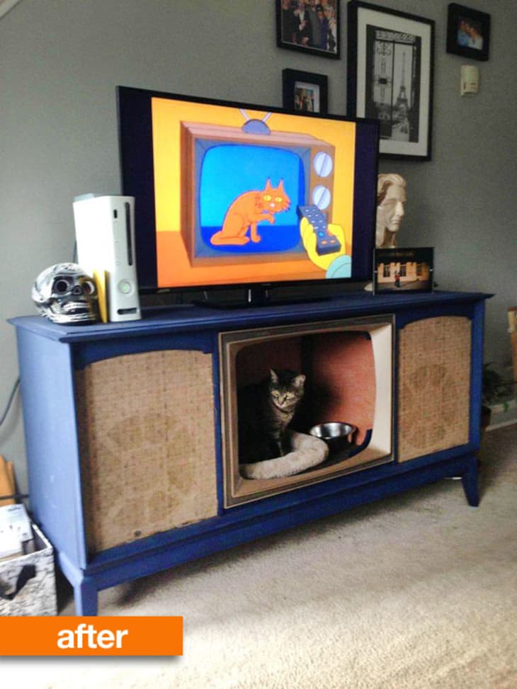 How to keep 2024 cat off tv stand