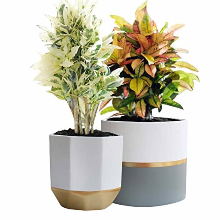 Amazon First Apartment Essentials, Design Picks Apartment Therapy