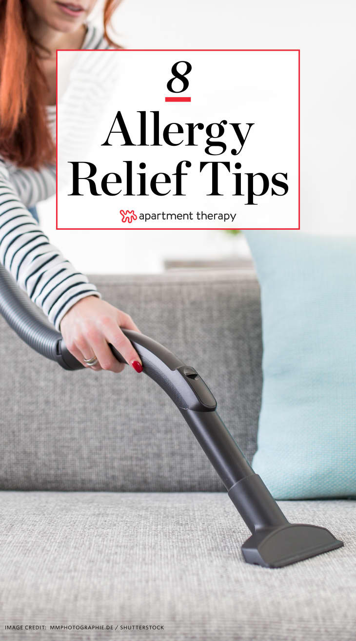 Allergy Relief Tips for Cleaning at Home Apartment Therapy