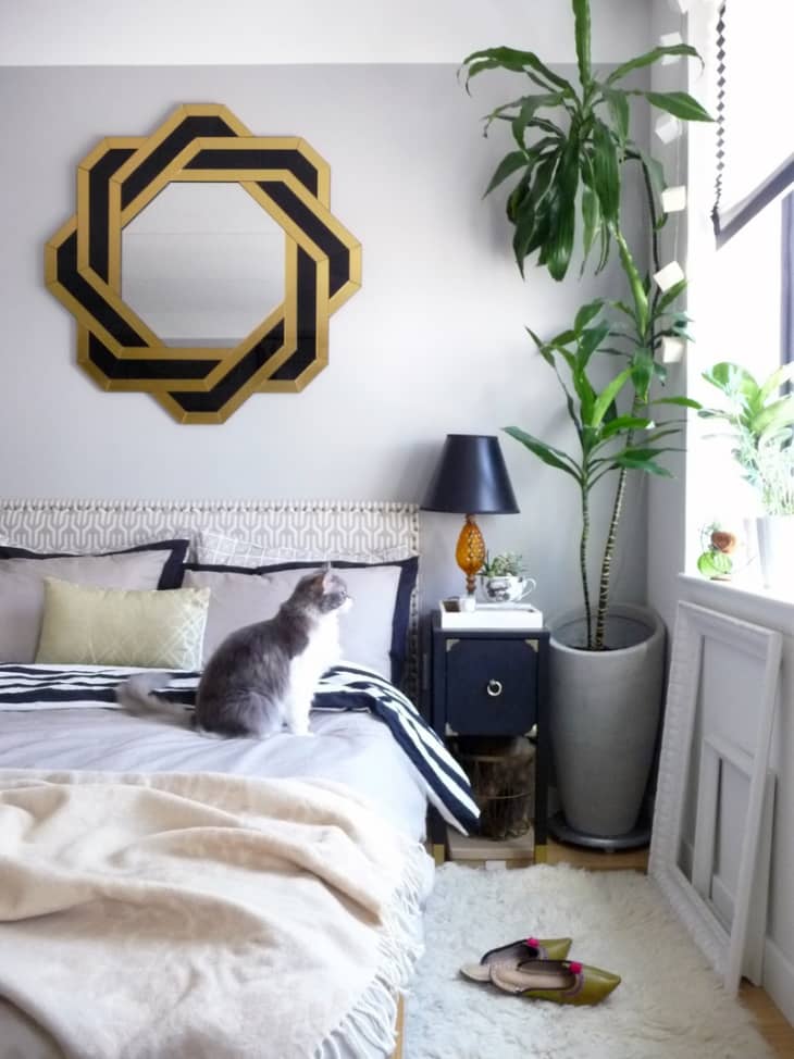5 Genius Ideas For How to Layout Furniture in a Studio Apartment ...