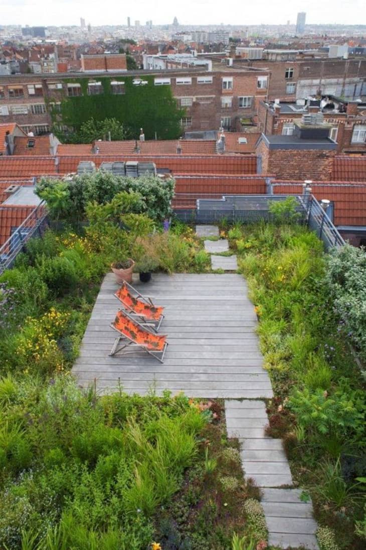 Urban Retreats 9 Dreamy Rooftop Gardens Apartment Therapy