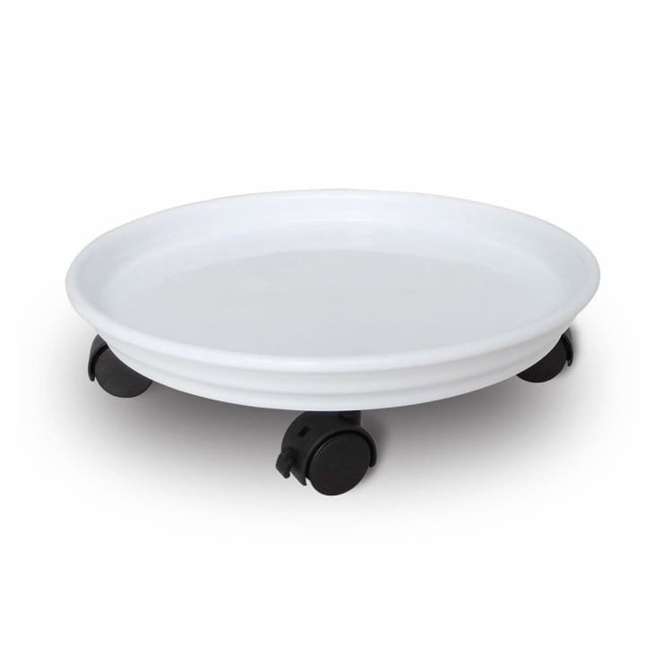 Terracotta Pots Review The Best, Cheapest Plant Pot Apartment Therapy