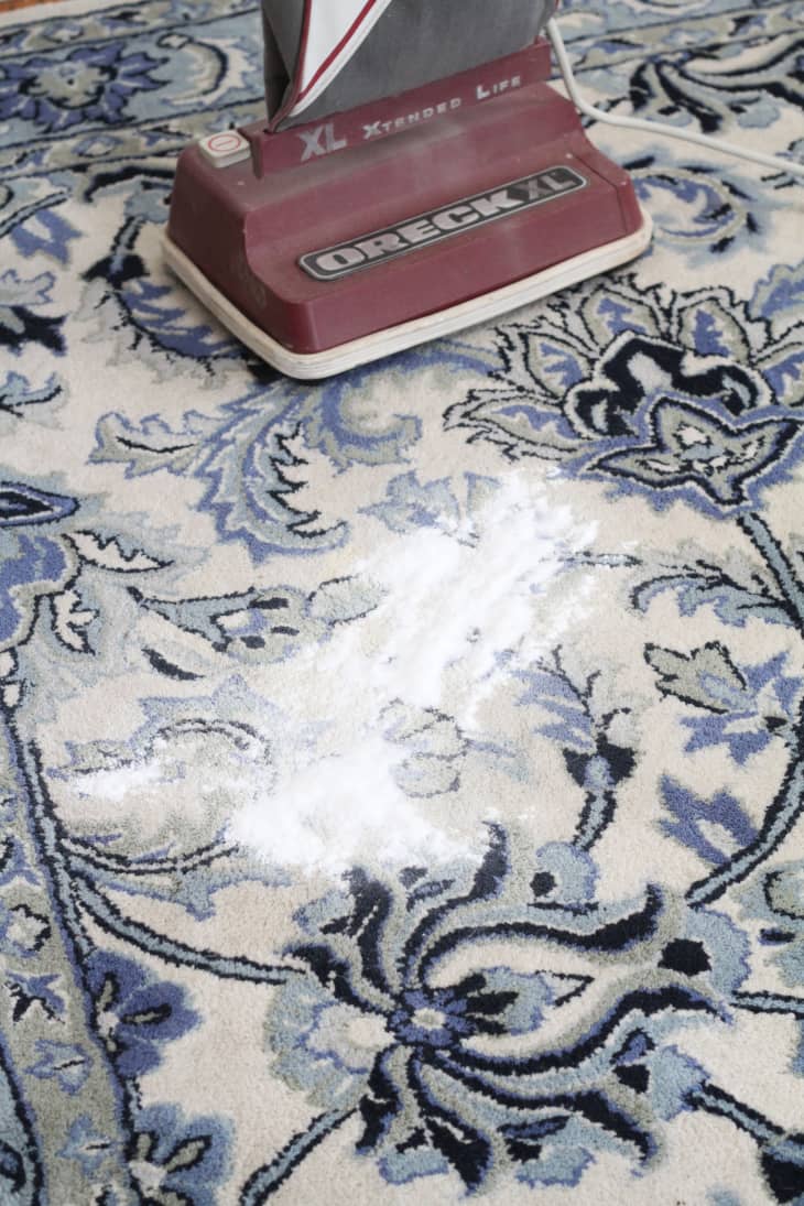 Here's How to Clean Pet Stains in 5 Easy Steps Apartment Therapy