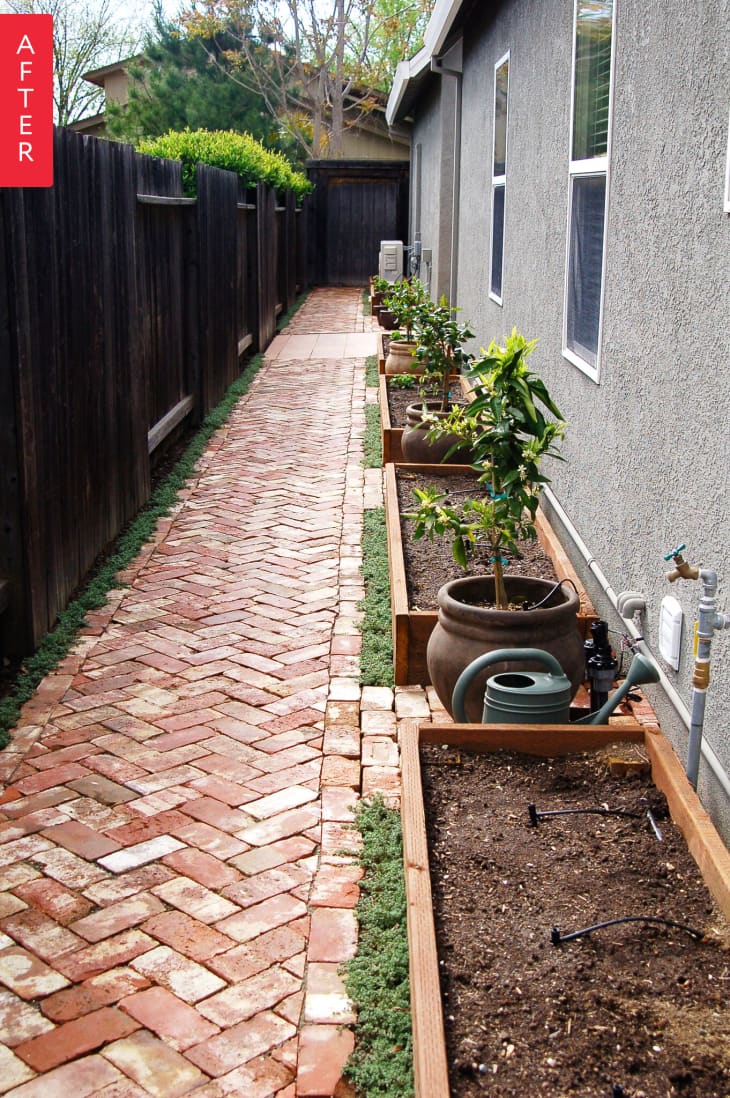Before & After: A Side Yard Goes from Barren to Bountiful | Apartment ...