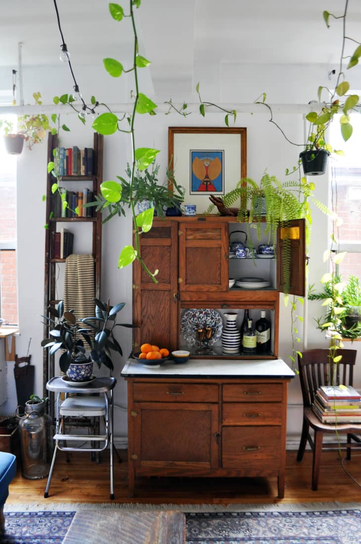 A Small Toronto Studio Apartment with Over 40 Plants | Apartment Therapy