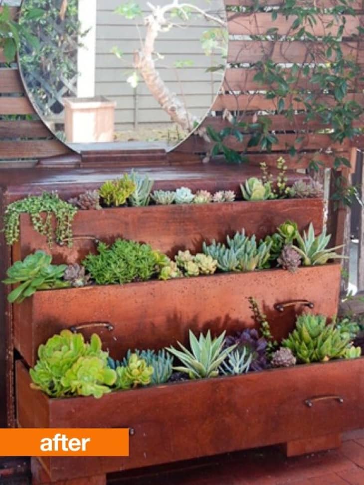 Before & After: Old Dresser Becomes a Garden of Succulents | Apartment ...