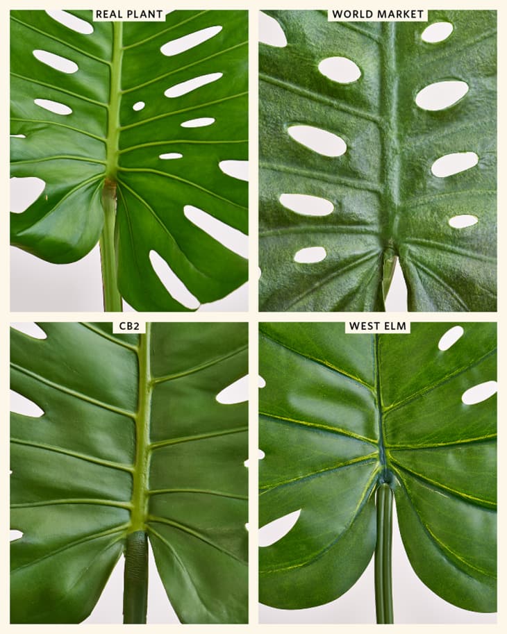 The Best Faux Monstera Leaf Decor Apartment Therapy