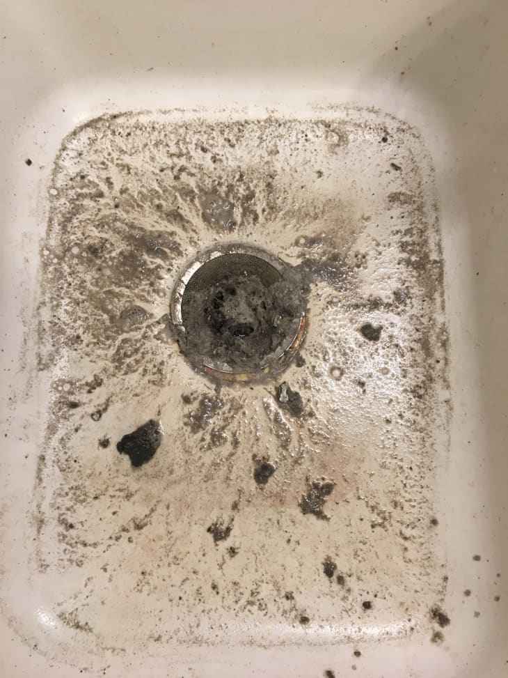 How to Clean a Vacuum in the Dishwasher Apartment Therapy