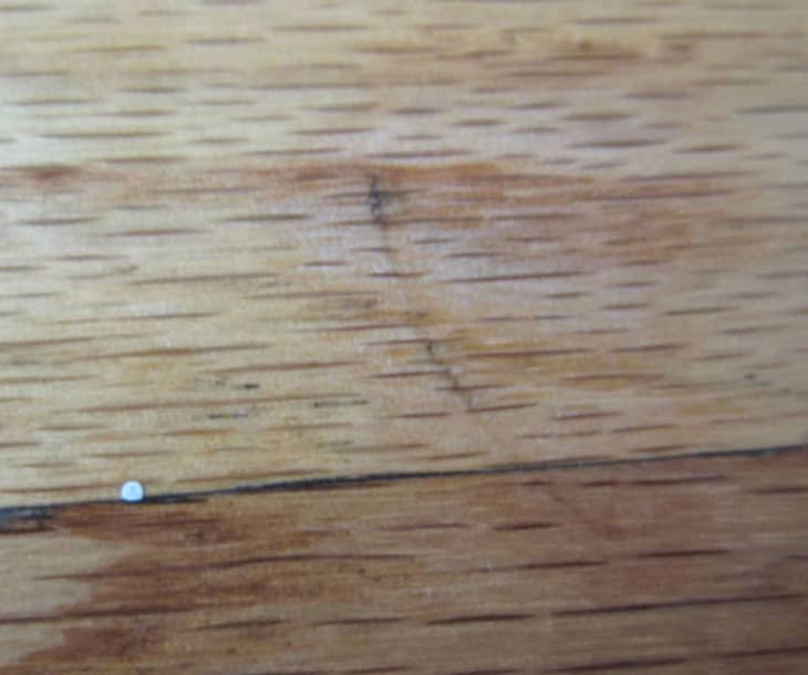 How to Repair Wood Floors or Furniture with Dents (Using an Iron!) Apartment Therapy