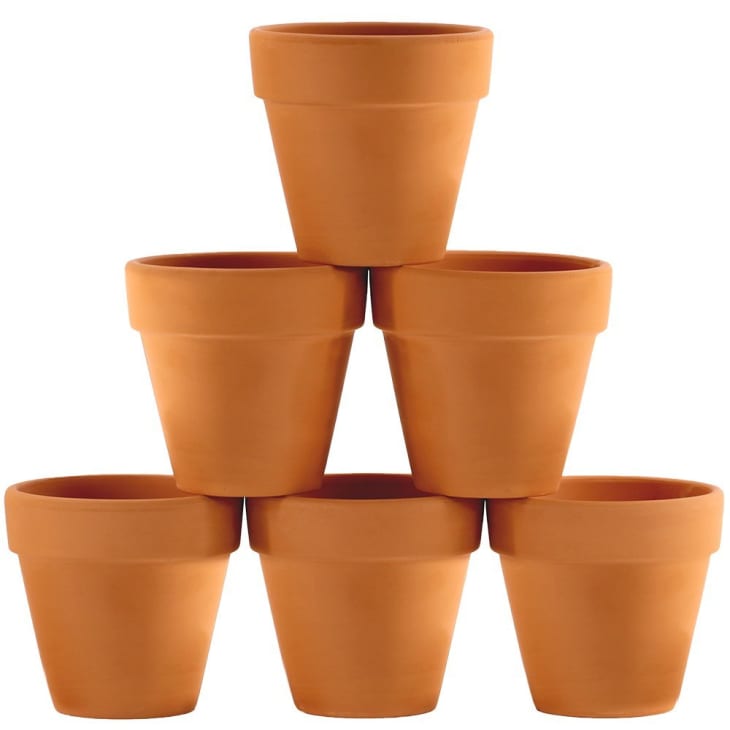 Terracotta Pots Review The Best, Cheapest Plant Pot Apartment Therapy