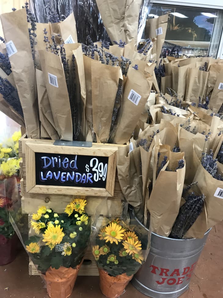 Trader Joes Dried Lavender Flowers Last Forever Apartment Therapy