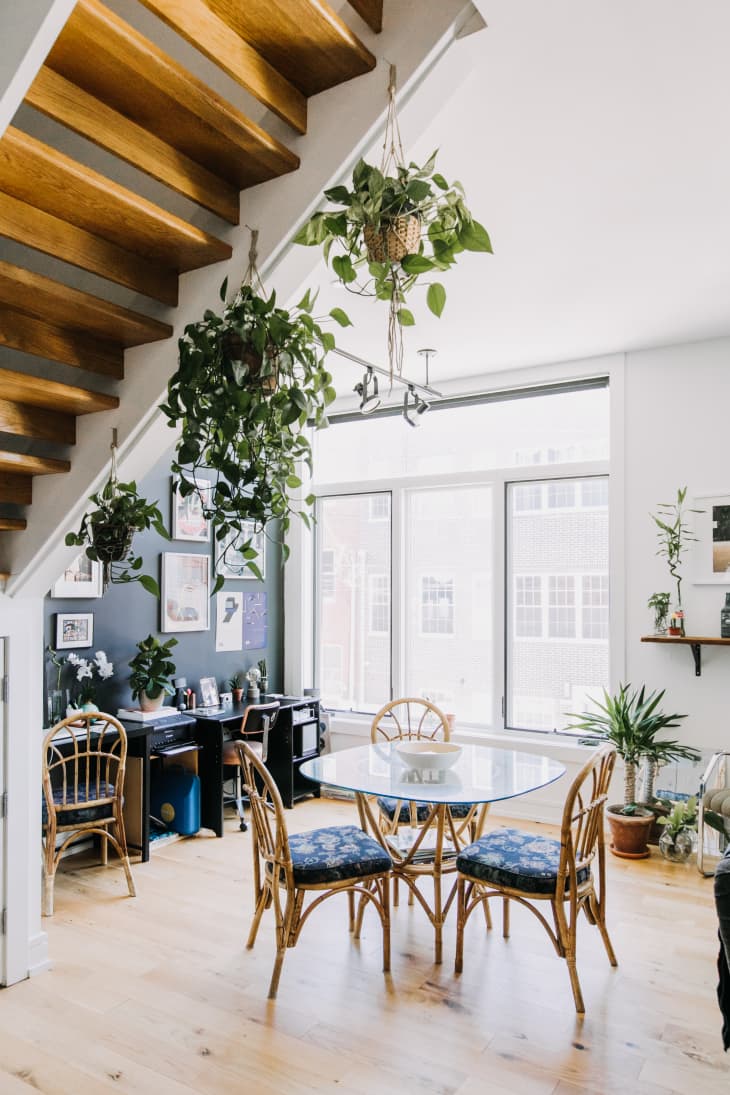 Plants and DIY Projects Make This Philly Rental Apartment Cool ...