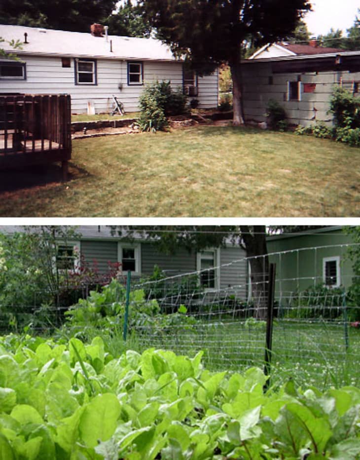 Before & After A Garden Transformation Story Apartment Therapy