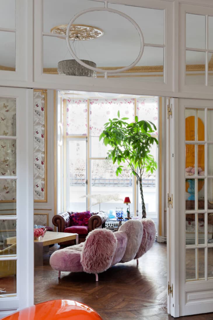 12 Best Indoor Trees Large Floor Plants for a Bold Statement