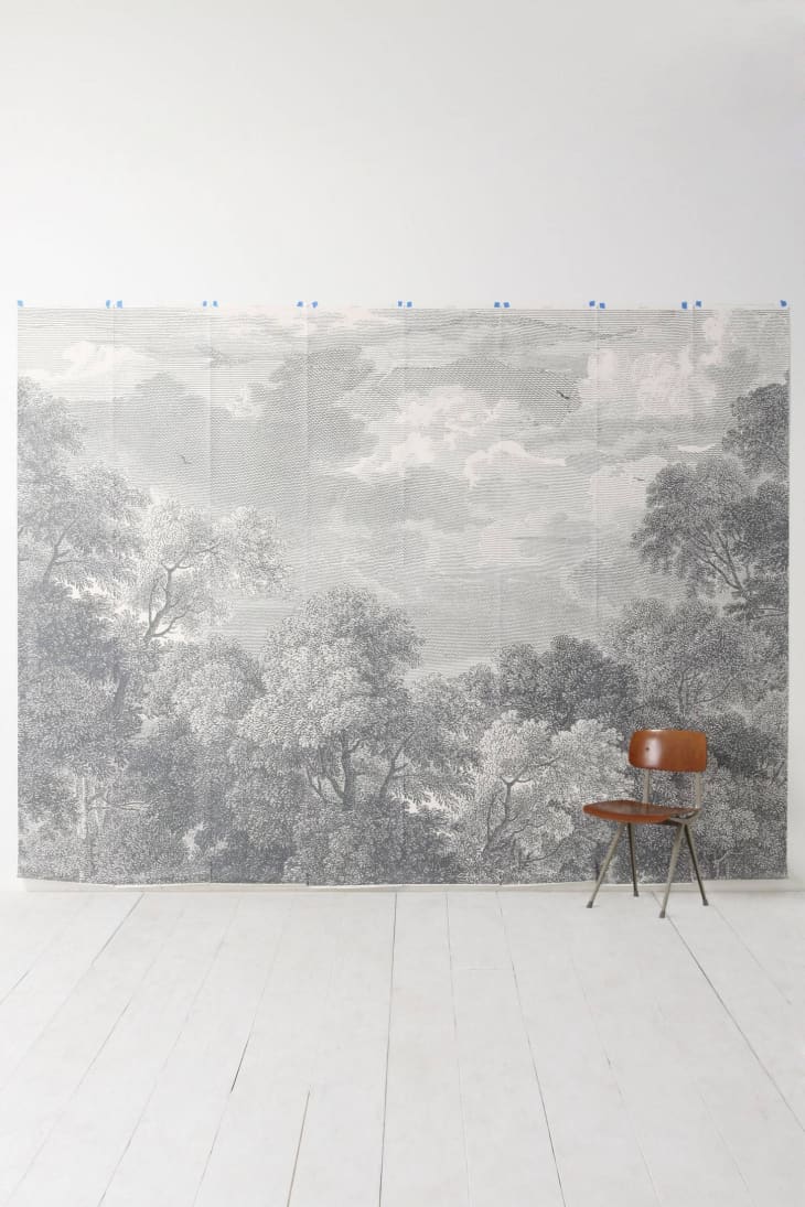 The Best and Most Beautiful Wallpaper Murals Apartment Therapy