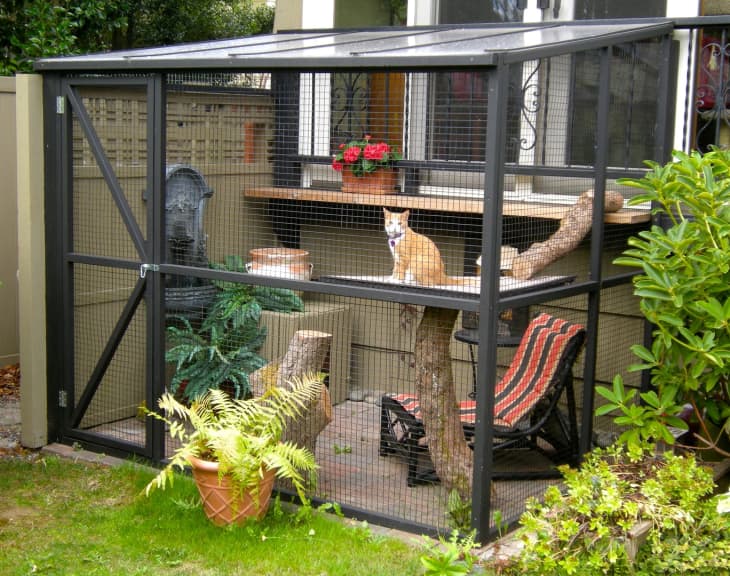 A Catio is the Coolest Thing You Never Knew Your Cat Needed