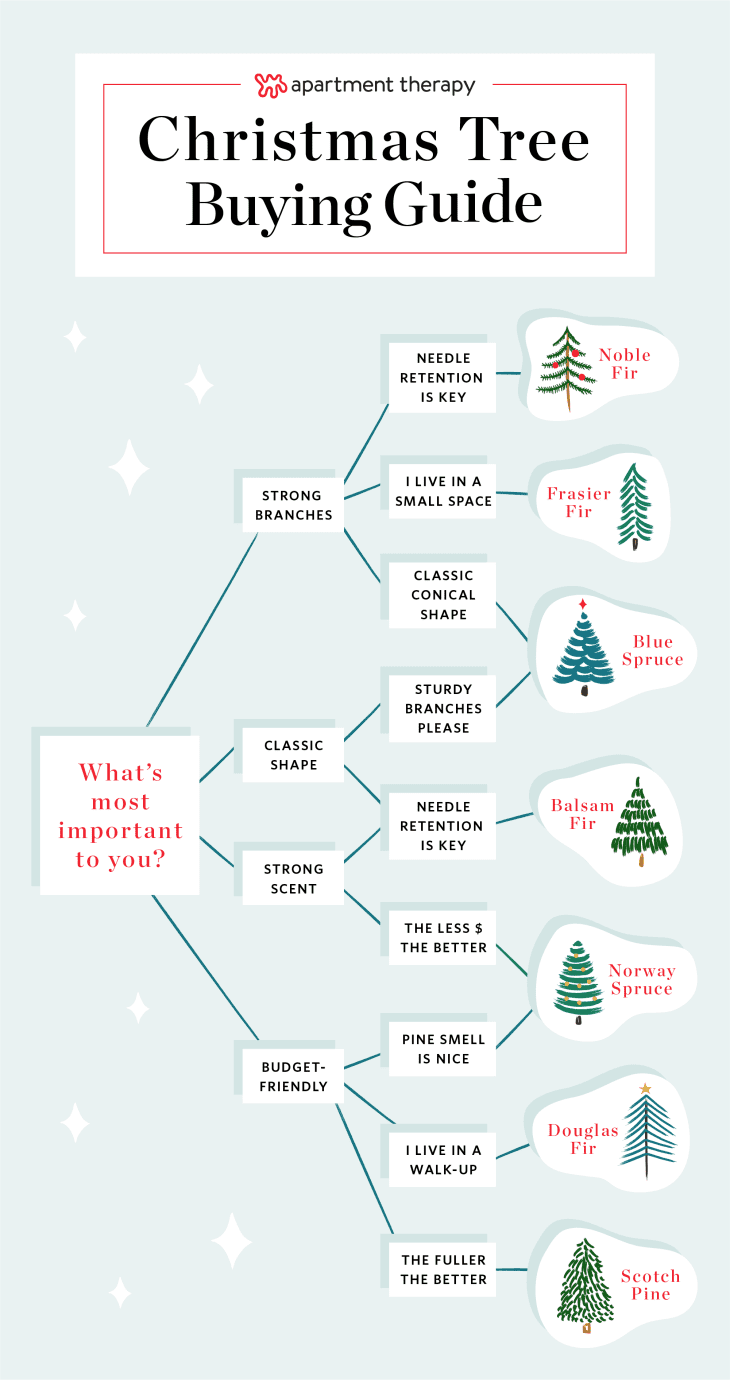 Buying A Christmas Tree Guide Christmas Tree Types Apartment Therapy