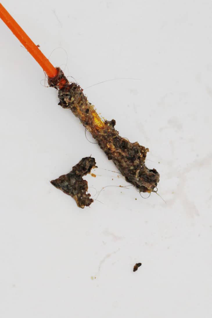 Plastic Drain Snakes Do They Really Work on Clogs? Apartment Therapy