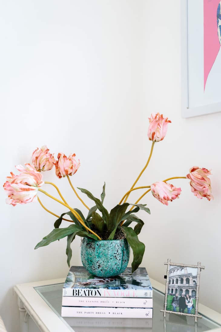 How to Force Bulbs Guide to Forcing Bulbs Indoors Apartment Therapy