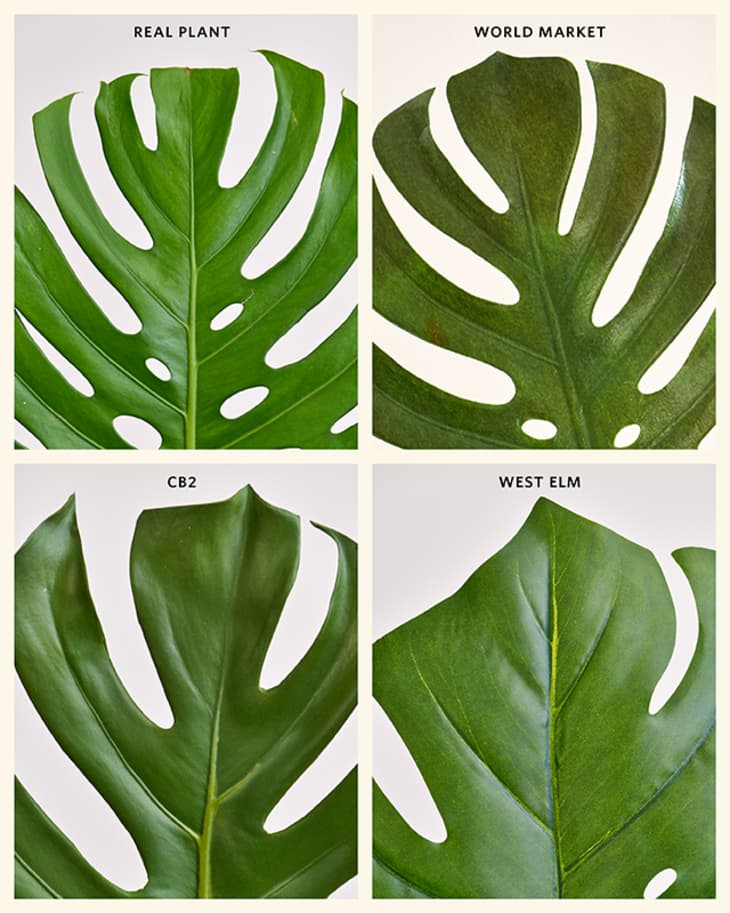 The Best Faux Monstera Leaf Decor Apartment Therapy