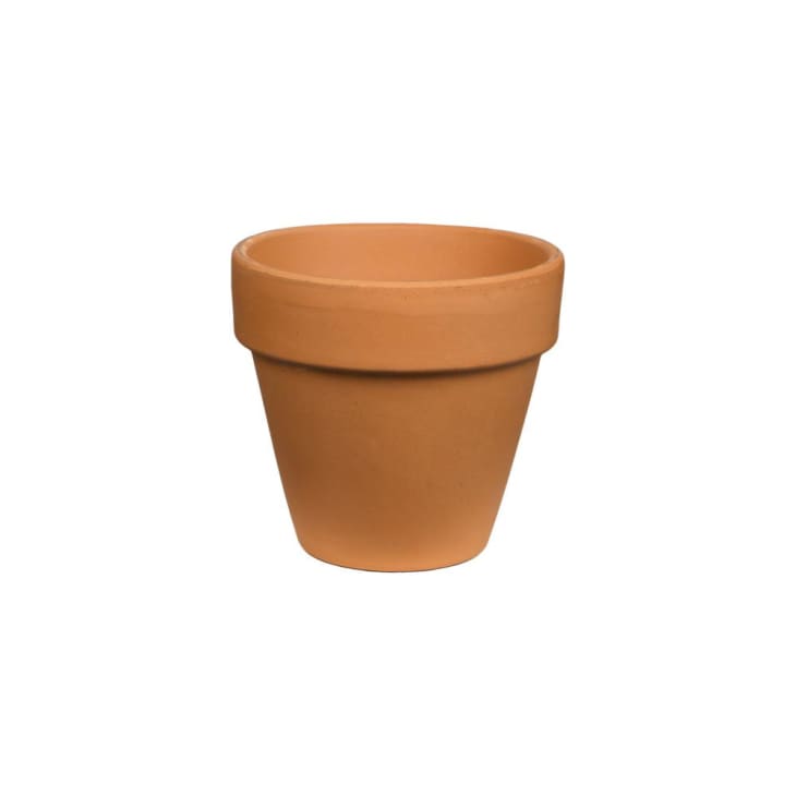 Terracotta Pots Review The Best, Cheapest Plant Pot Apartment Therapy