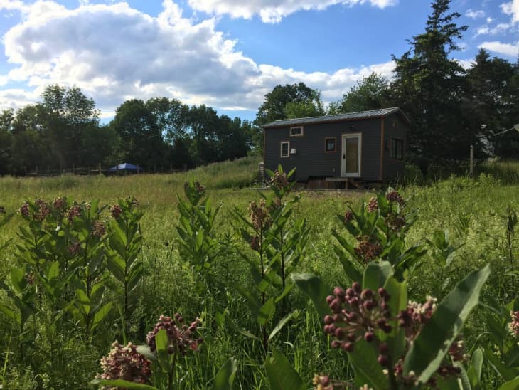 6 Cool Tiny House Airbnbs For You to Rent Apartment Therapy