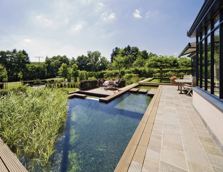 Natural, Green Swimming Pools: Info, Tips & Ideas | Apartment Therapy