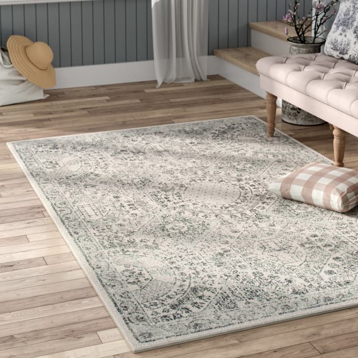 Wayfair Rug Sale Home Deals February 2019 Apartment Therapy