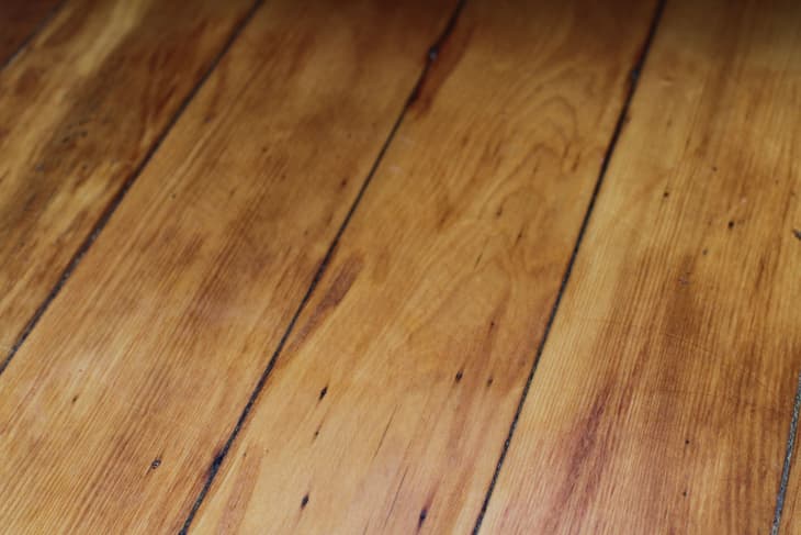 ridgid shop vac accessory kit