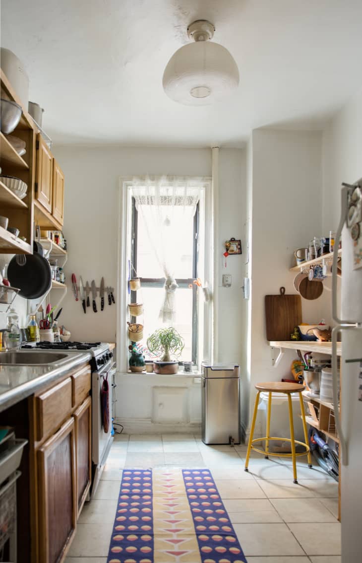 5 Easy Steps for Banishing Flies from the Kitchen | The Kitchn