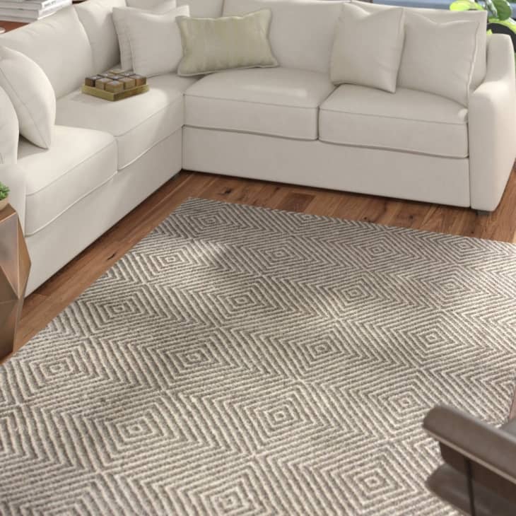 Wayfair Rug Sale Home Deals February 2019 Apartment Therapy