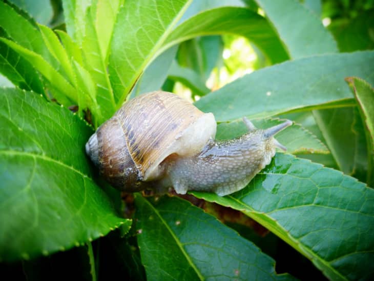 The Good, the Bad &amp; the Ugly Identifying &amp; Controlling