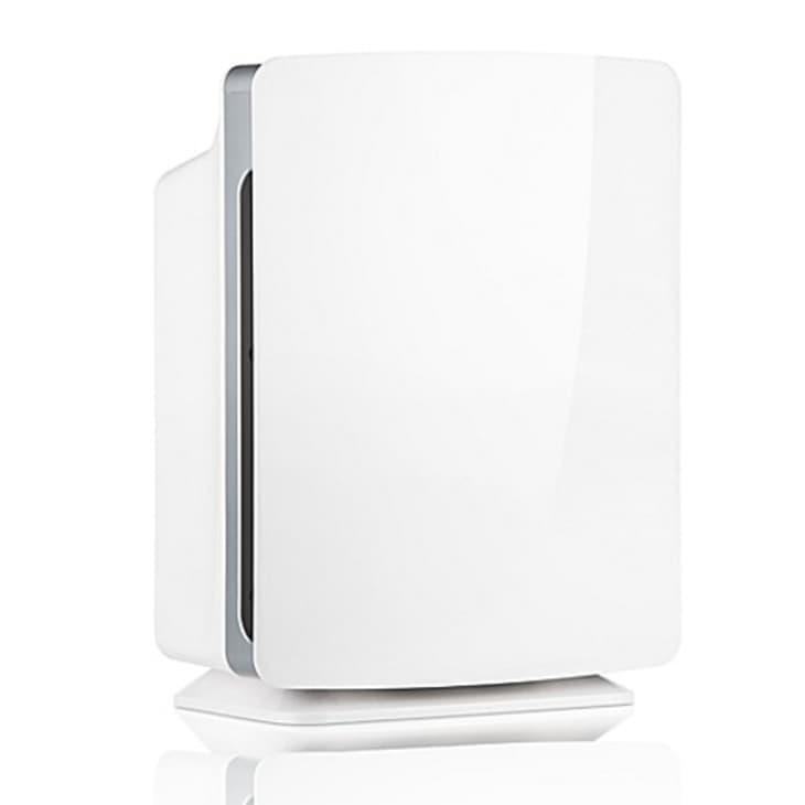 Best Air Purifiers Low to High Price The Kitchn