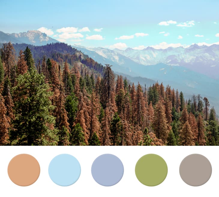 Unusual Pastel Color Palettes Inspired by Nature | Apartment Therapy