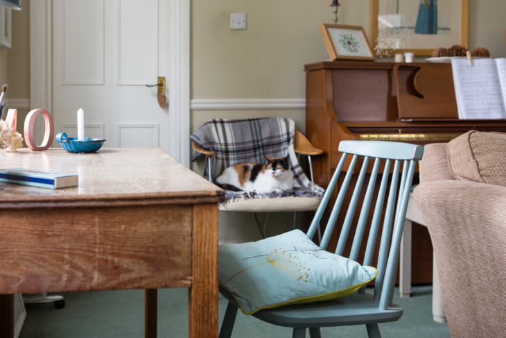 These Are The Most Popular 2023 Interior Design Styles, According to ...