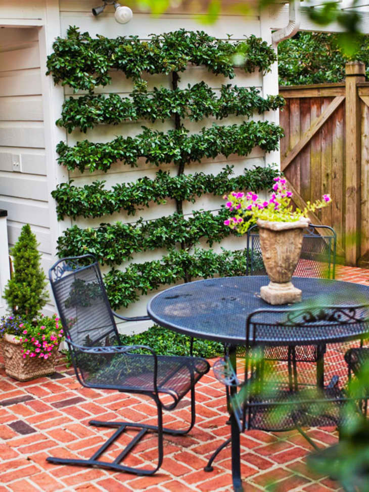 Small Backyard Design Ideas & Inspiration | Apartment Therapy